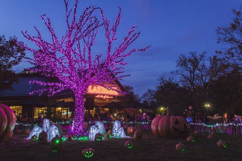 Boo at the Zoo at the St. Louis Zoo
